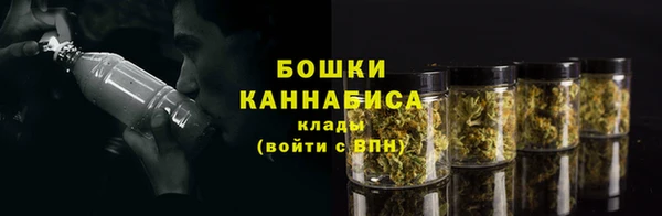 сатива Вязьма