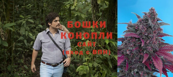 спиды Горняк