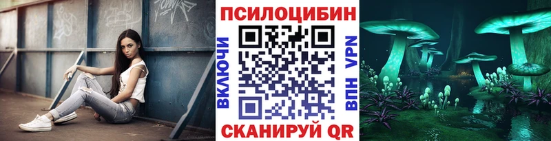 Купить Новосокольники Галлюциногенные грибы прущие грибы